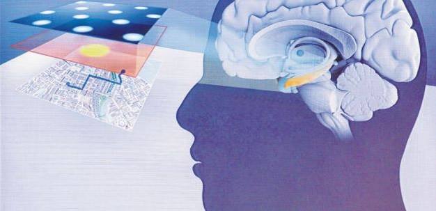 2014 Nobel Tıp Ödülü: Beynimizdeki GPS sistemi
