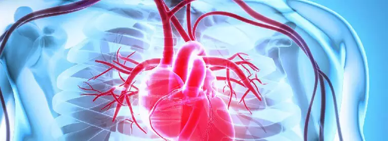 Kalp Hastalarına Özel Diyet: Koroner Arter