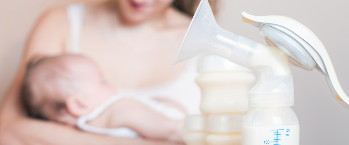 Anne Sütü Yapan Besinler ve Önemi, Anne Sütü Nasıl Artar ve Saklanır