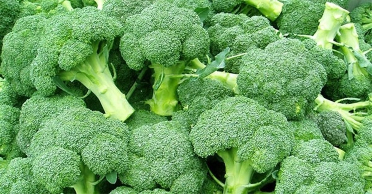 Brokoli Faydaları, Nasıl Yapılır, Kalorisi ve Besin Değerleri Nelerdir?